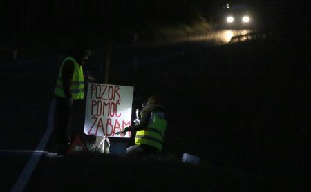 Reševalna akcija Slivniških dvoživk 06 FOTO LJUBO VUKELIČ
